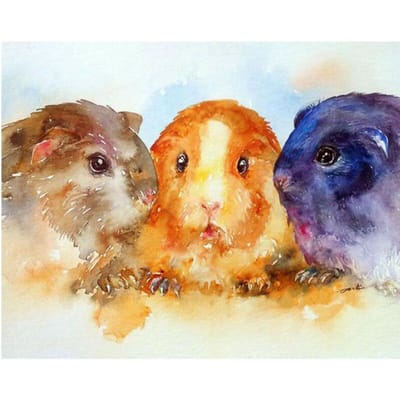 Diamantschilderij schattig cavia kruissteek dier diamant borduurwerk stenen display kunst knutselen 20X30CM