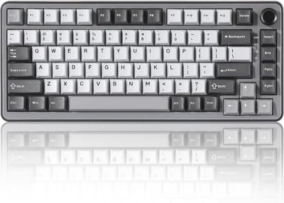 Draadloze Mechanische Toetsenbord met 75% Layout en Hot Swap Functie - RGB Verlicht