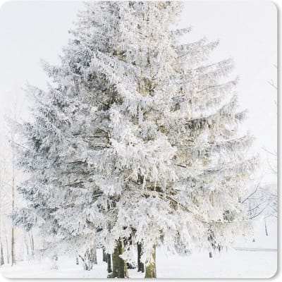 Muismat 20x20 cm - Mousepad Winter - Boom - Sneeuw - Den - Wit - Muismatten