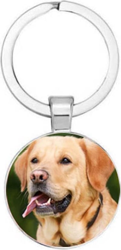 Akyol - Golden retriever Sleutelhanger - Hond sleutelhanger - Sleutelhanger hond - Dieren - Huisdier cadeau - Honden - Dogs keychain - Hondenaccessoires - Hondenspeelgoed