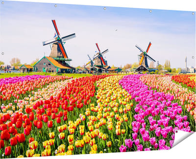 Gards Tuinposter Kleurrijke Tulpen Bloemenveld - Windmolen - 180x120 cm - Tuindoek - Tuindecoratie - Wanddecoratie buiten - Tuinschilderij