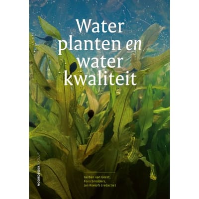 Waterplanten En Waterkwaliteit