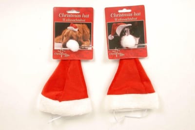 Kerstmuts Hond / Kat