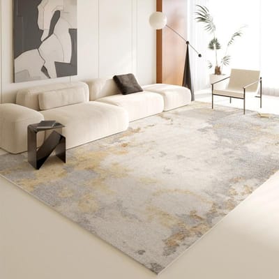 Modern Stijl Vloerkleden voor Slaapkamer Groot Oppervlak Woonkamer Decoratie Zacht Tapijt Wasbaar Lounge Vloermat Antislip Garderobe Vloerkleed 100*160cm