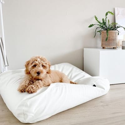 Dog's Companion Hondenkussen / Hondenbed - XS - 55 x 45 cm - White Sand Canvas/Katoen