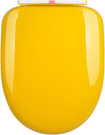 Soft Close Toilet Seat Toilet Seat, Comfort Toilet Seat, Oval Toilet Seat Cover, Durable High Quality Plastic, Slow Closing and Easy to Remove for Cleaning, Multiple Colours/R