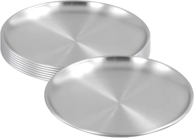 Set van 8 Ronde RVS Dinerborden van 20 cm - Ideaal voor Barbecue, Picknick en Thuisgebruik