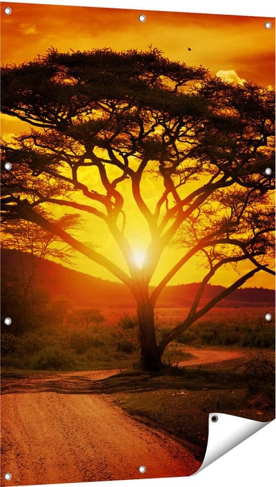 Gards Tuinposter Zonsondergang Achter een Savanne Boom - 80x120 cm - Tuindoek - Tuindecoratie - Wanddecoratie buiten - Tuinschilderij
