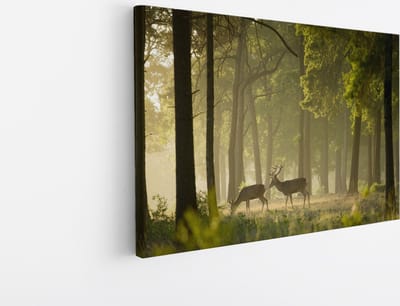 Saammp Canvas Schilderij - 2 Herten in het bos - Dieren - Landschap - Natuur - 45x30 - Foto op canvas - Wanddecoratie - Muurdecoratie Woonkamer - Slaapkamer decoratie - Canvas Print