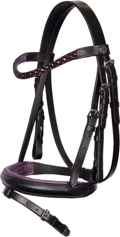 Harry's Horse Diva bridle hoofdstel Shetland | Paars | Hoofdstel paard