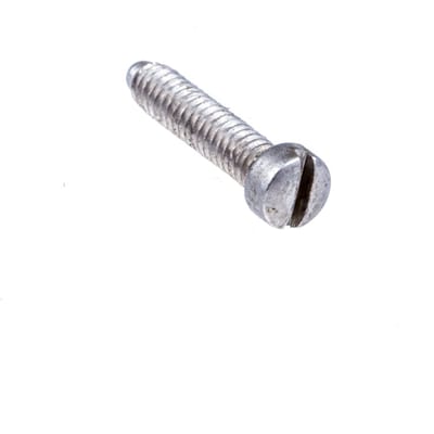 Screw
