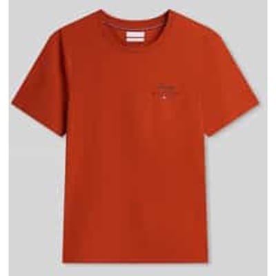 Tommy Hilfiger Script Stack Regular Rusty Ochre Größe: M | Basic T-Shirts Outlet | Herren | Braun