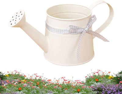 Thijox - Kleine gieter voor kamerplanten 1 liter, metalen waterjerrycan voor binnen en buiten, elegante irrigatiepot voor gazontuin en tuingereedschap