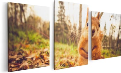 Artaza Canvas Schilderij Drieluik Eekhoorn in het Bos tijdens de Herfst - 120x60 - Foto Op Canvas - Canvas Print