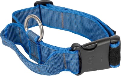 Halsband met Handvat, Veiligheidsslot en Verwisselbare Labels voor Honden - 40 mm (38-53 cm) - Blauw-Grijs
