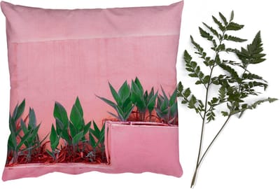Sierkussens - Kussentjes Woonkamer - 40x40 cm - Planten - Zomer - Verf