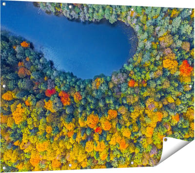 Gards Tuinposter Kleurrijke Bos met Bomen naast een Meer - 120x90 cm - Tuindoek - Tuindecoratie - Wanddecoratie buiten - Tuinschilderij