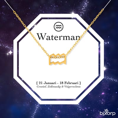Bixorp Stars Sterrenbeeld Ketting Waterman / Aquarius - Stainless Steel met Goud Verguld - 45cm Ketting met Zodiac Hanger - Inclusief Cadeau Verpakking