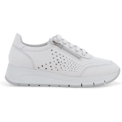 Lage Sneakers Melluso R20096-255829
