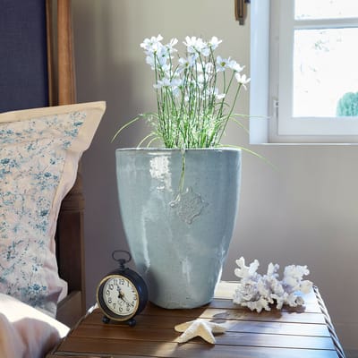 LOBERON Sierpot Serenzia blauw