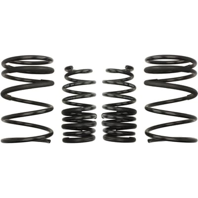 Veren EIBACH Pro Kit E10-40-001-01-22