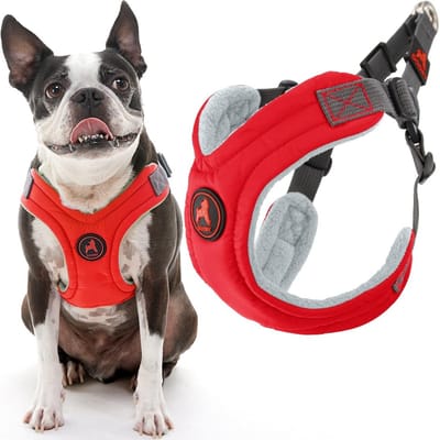 Ergonomisch Geheugen Schuim Hondentuigje Rood Large - Antitrek Tuigje voor Kleine en Middelgrote Honden - Ideaal voor Reizen