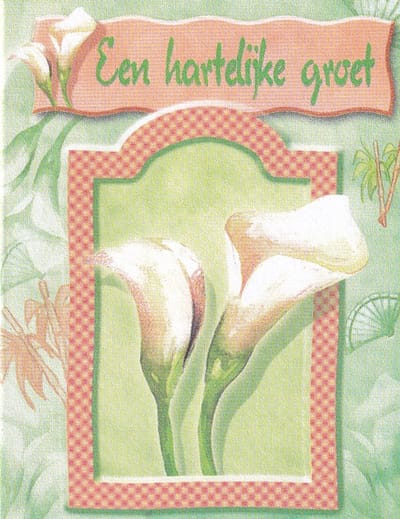 Bloemenkaartjes - 25 Stuks – 5 x 6.5 cm - Mini Kaartje – Bloemist - JK-471