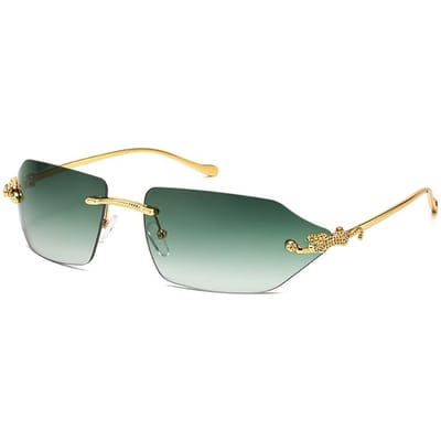 Lunettes de Soleil Léopard en Alliage Métallique Polarisées Protection UV Légères Confortables Durables Haute Qualité Élégantes Tendance pictures show