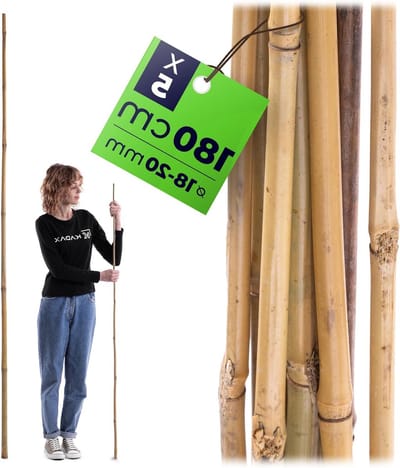 Bamboe stokken - Plantsteunen - Planten ondersteunen - Natuurlijk materiaal - 180 cm - Bruin