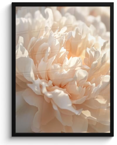 Poster in lijst - Fotolijst 50x70 cm - Posters - Close up - Pioenroos - Lichtroze - Posterlijst zwart - Decoratie - Wanddecoratie woonkamer - Muurdecoratie slaapkamer
