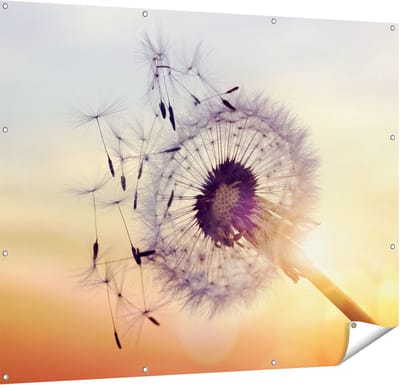 Gards Tuinposter Paardenbloem tijdens Zonsondergang - 150x120 cm - Tuindoek - Tuindecoratie - Wanddecoratie buiten - Tuinschilderij