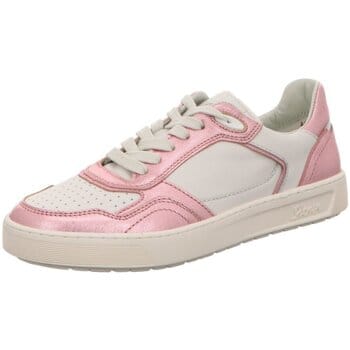 Nette Schoenen Sioux -