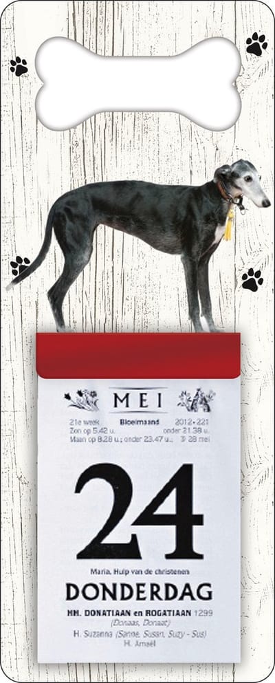 Scheurkalender 2027 Hond: windhond zwart