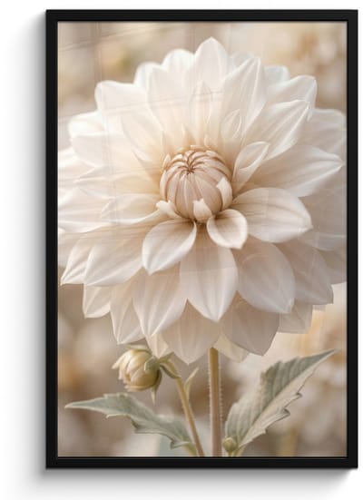 Poster in lijst - Fotolijst 60x90 cm - Posters - Bloem - Dahlia - Wit - Posterlijst zwart - Decoratie - Wanddecoratie woonkamer - Muurdecoratie slaapkamer