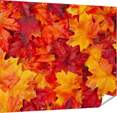 Gards Tuinposter Herfstbladeren in het Oranje en Rood - 150x120 cm - Tuindoek - Tuindecoratie - Wanddecoratie buiten - Tuinschilderij