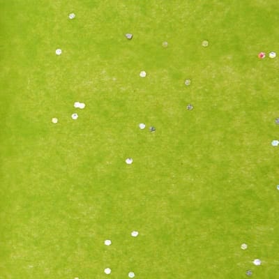 Zijdepapier - Glitters - Zilver metallic op licht groen - 50x75 cm - Pak a 200 vellen
