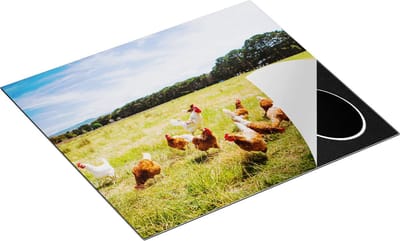 Chefcare Inductie Beschermer Kippen in het Gras - 60x50 cm - Afdekplaat Inductie - Kookplaat Beschermer - Inductie Mat