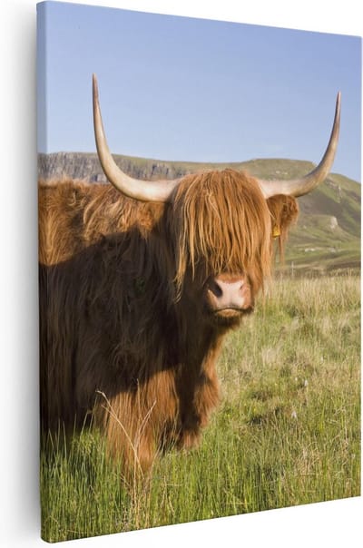 Artaza Canvas Schilderij Hooglander - 40x50 cm - Wanddecoratie Gewei - Muurdecoratie Natuur - Kamer Accessoires