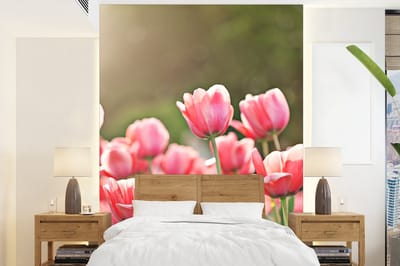 Behang - Fotobehang Tulpen - Zon - Lente - Breedte 165 cm x hoogte 220 cm