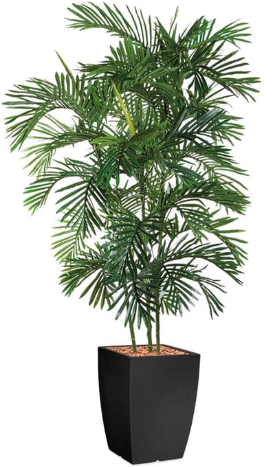 HTT - Kunstplant Areca palm in Genesis vierkant antraciet H190 cm