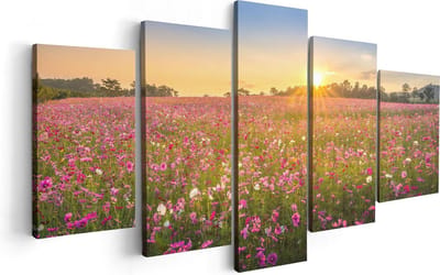 Artaza Canvas Schilderij Vijfluik Bloemenveld Met Roze Kosmos  - 100x50 - Foto Op Canvas - Canvas Print