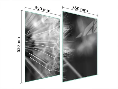 TMK ArtDeko - Beschermplaat Glas - 2x35x52 cm - Bloem