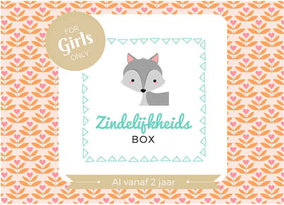Zindelijkheidsbox - Meisje editie - Zindelijkheidstraining kind - vanaf 2 jaar - incl beloningssysteem - Jouw peuter zelfstandig naar het potje / wc - 120 stickers