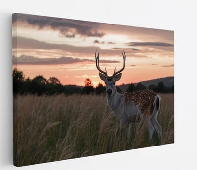 Saammp Canvas Schilderij - jong hert met zonsondergang - Natuur - Dieren - 45x30 - Foto op canvas - Wanddecoratie - Muurdecoratie Woonkamer - Slaapkamer decoratie - Canvas Print