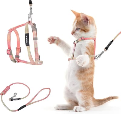 Kattenharnas en riemset, verstelbaar gradiënt kittenharnas