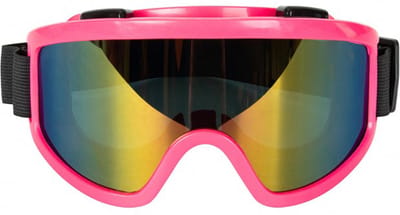 Carnaval/verkleed Apres Ski bril - roze - volwassenen - kunststof - party brillen