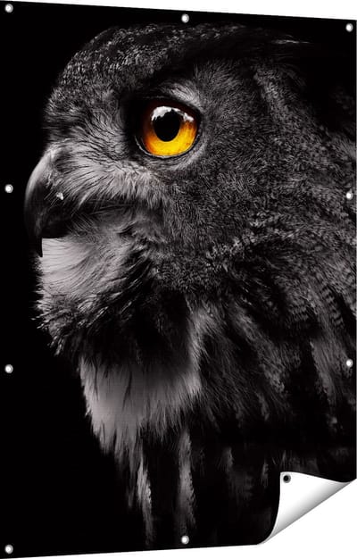 Gards Tuinposter Zwarte Uil met Gouden Ogen - 90x120 cm - Tuindoek - Tuindecoratie - Wanddecoratie buiten - Tuinschilderij