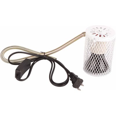 E27 Reptiel Anti-Verbrandings Lampenkap en Verwarmingslamp Set Reptiel Warmtelamp met Beschermkap voor Schildpadden black