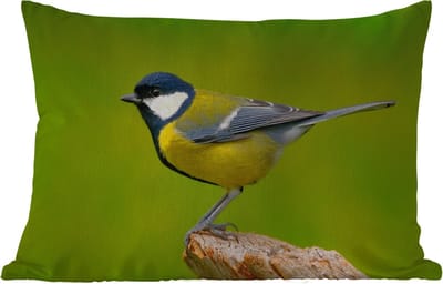 Buitenkussens - Tuin - Vogel - Koolmees - Dieren - Groen - 50x30 cm