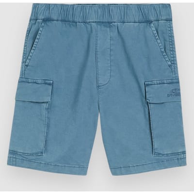 O'Neill Cargo Kids Korte Broek blauw